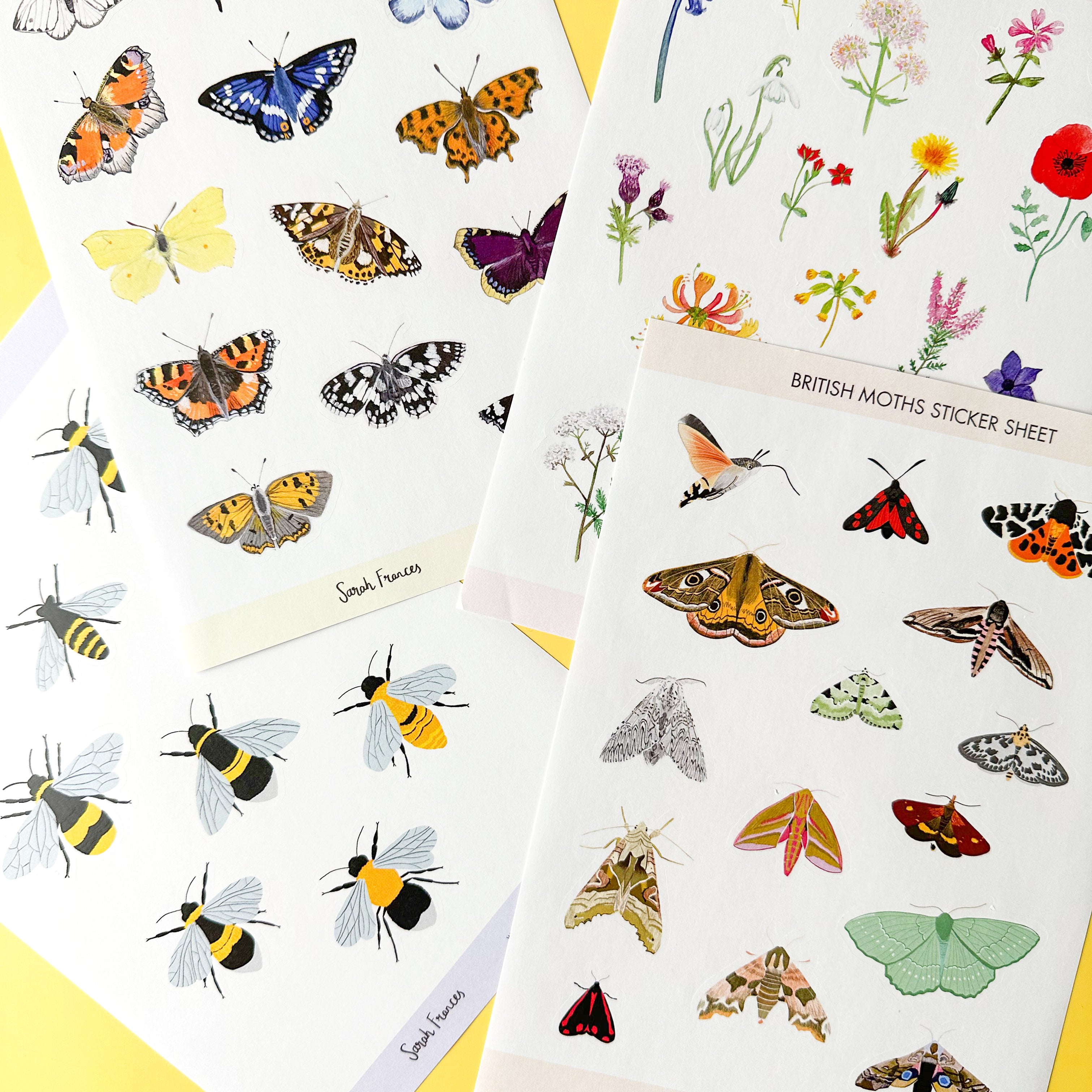 Illuminate your crafts with our British Moth Sticker Sheet, adorned with charming illustrations of native British moth species. Ideal for adding a touch of nocturnal wonder and beauty to your crafts. These stickers are designed by Sarah Frances and sold at BBB Supplies Craft Shop.