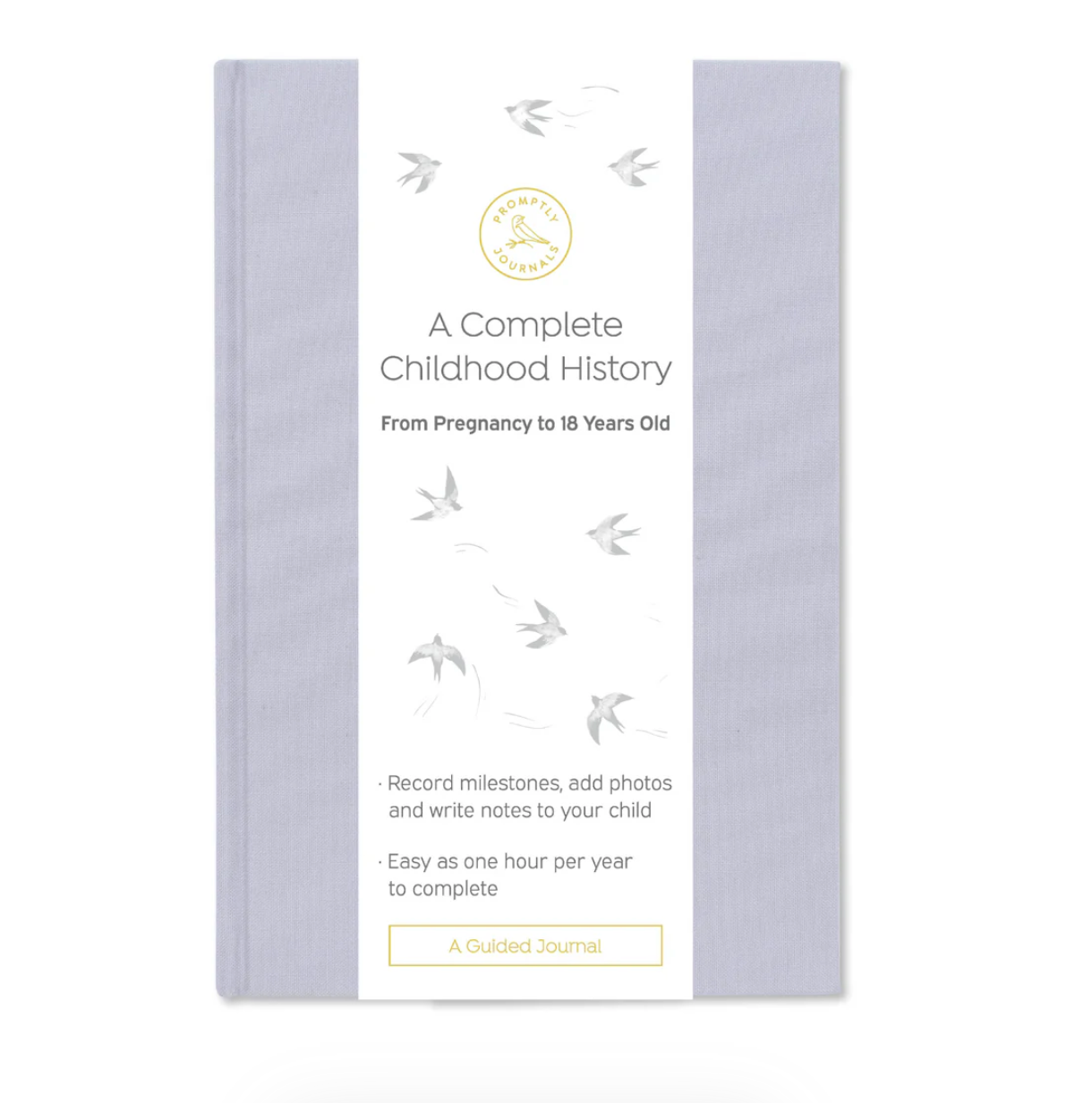 This lavender color childhood history journal has prompts to help parents write their child's story in each phase as a keepsake. This journal is from promptly and sold at BBB Supplies Craft Shop.