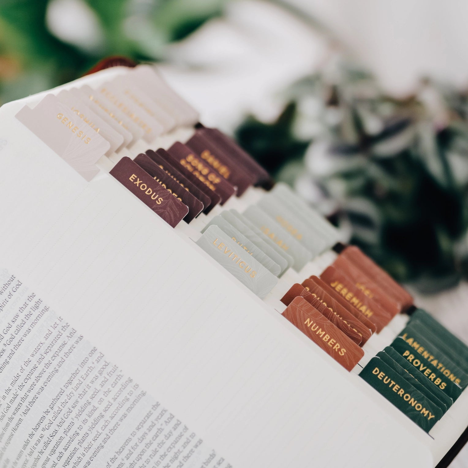 These beautifully decorative and vibrant books of the bible tabs are self-adhesive, making it easy to navigate your Bible during your bible journaling and Bible Studies. Available in several colors at BBB Supplies Craft Shop. 