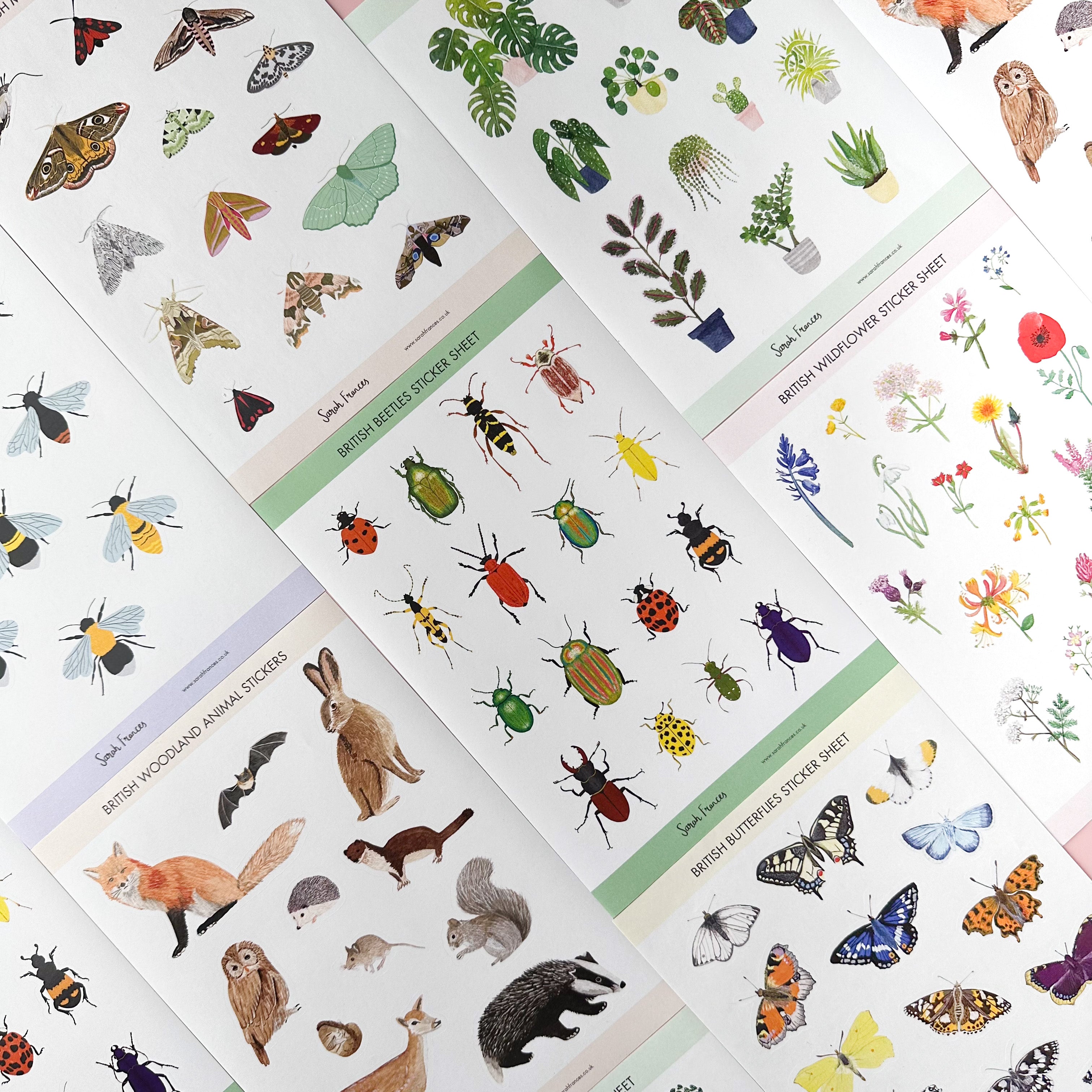 Illuminate your crafts with our British Moth Sticker Sheet, adorned with charming illustrations of native British moth species. Ideal for adding a touch of nocturnal wonder and beauty to your crafts. These stickers are designed by Sarah Frances and sold at BBB Supplies Craft Shop.