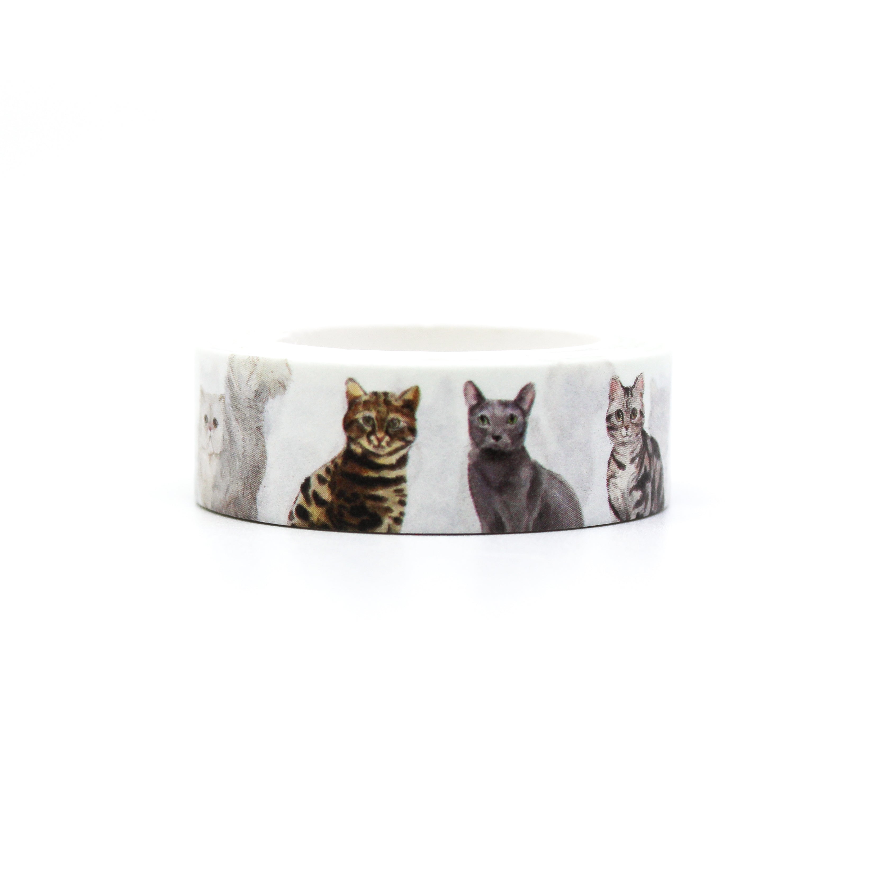 This shows a set of picture of kittens themed view of washi tape from BBB Supplies Craft Shop