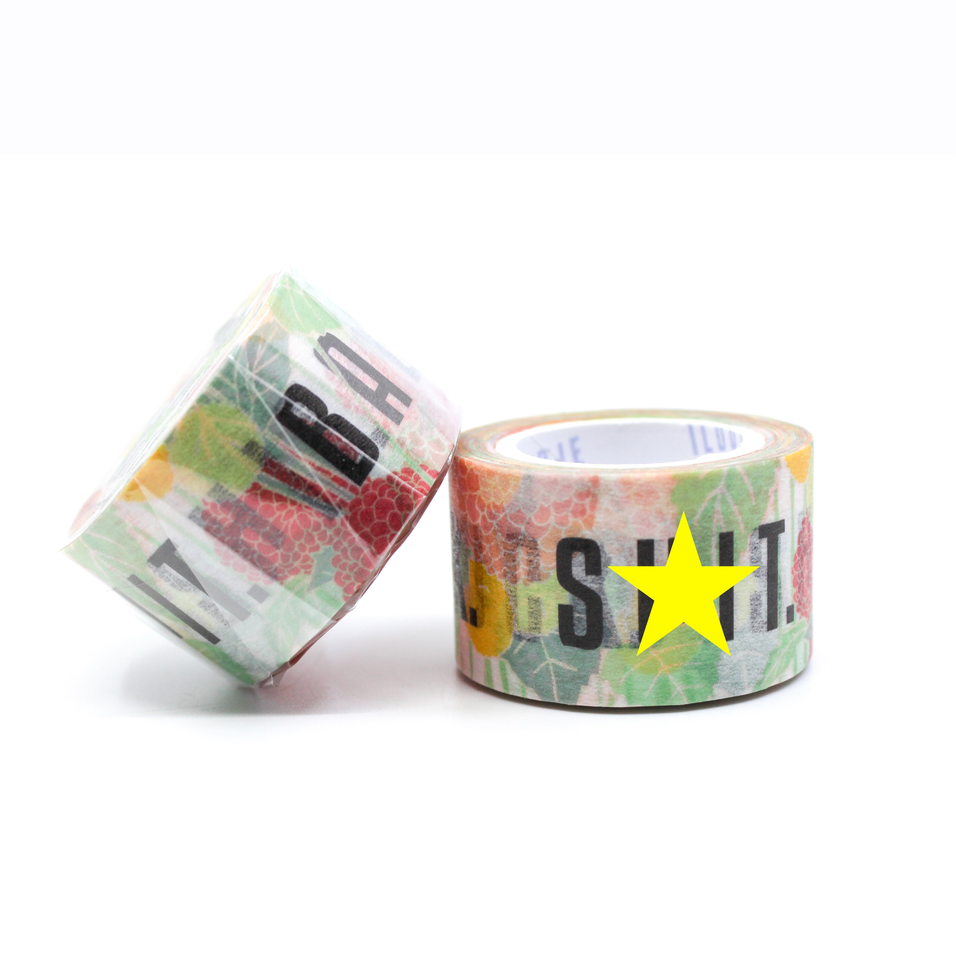 This is a photo of two Potty Mouth Washi tapes from BBB Supplies