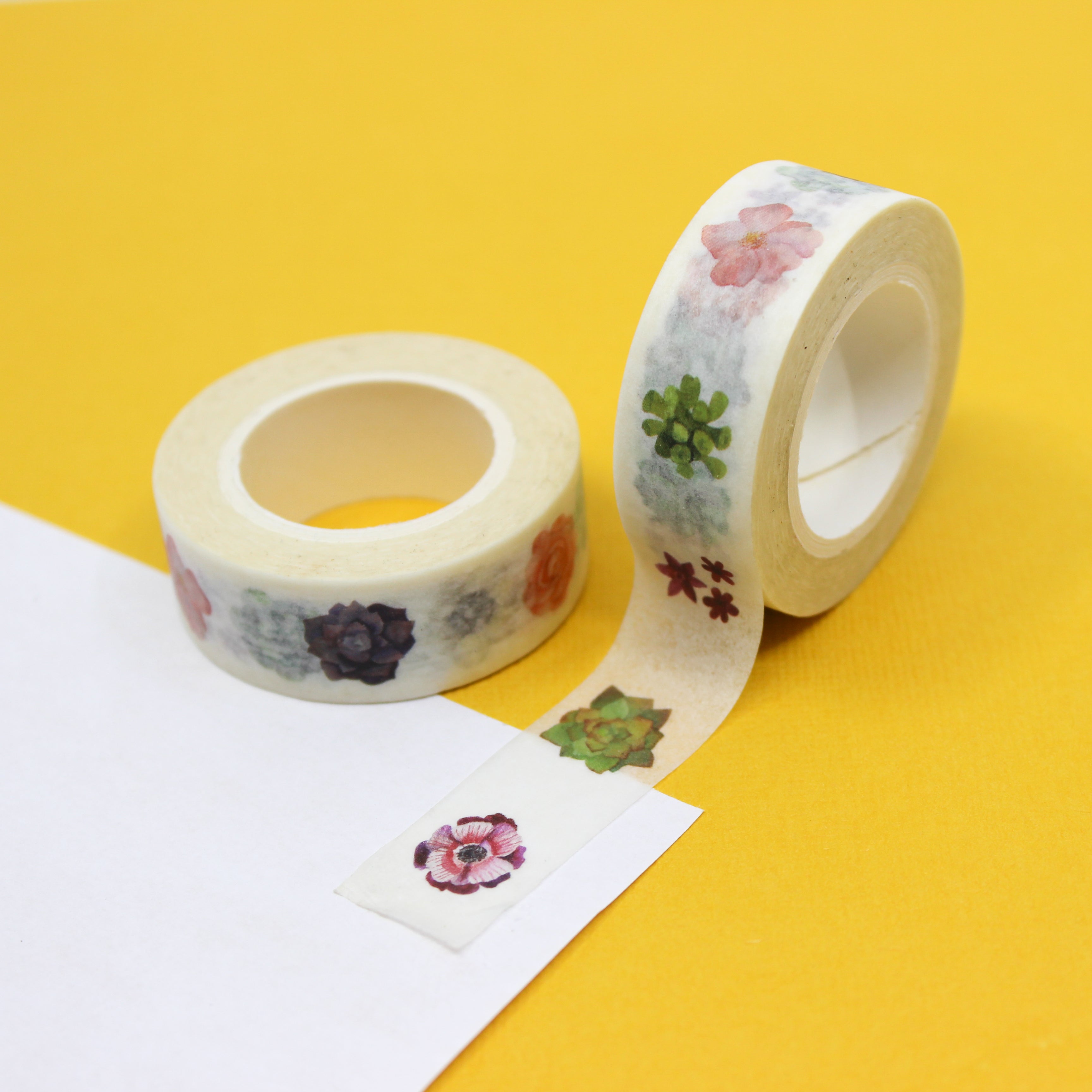 This is a single succulent view themed washi tape from BBB Supplies Craft Shop
